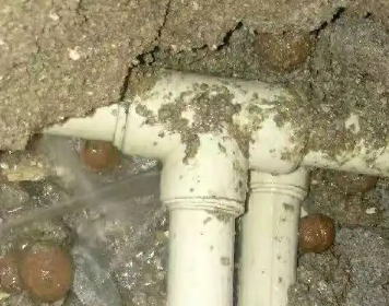 北塔测漏水多少钱