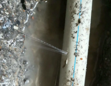 北塔测漏水哪家好