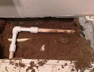 北塔测漏水哪家好