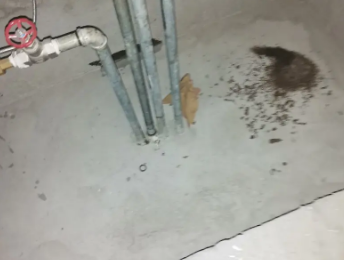 北塔卫生间测漏水价格明细