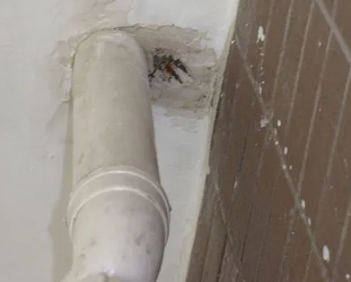 北塔漏水检测哪家好